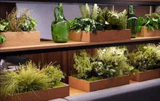 Greenarea - Nuevo catálogo