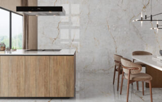 venux colaboracion ntns