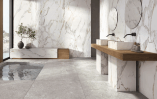 xlim stn ceramica ntns marketplacement